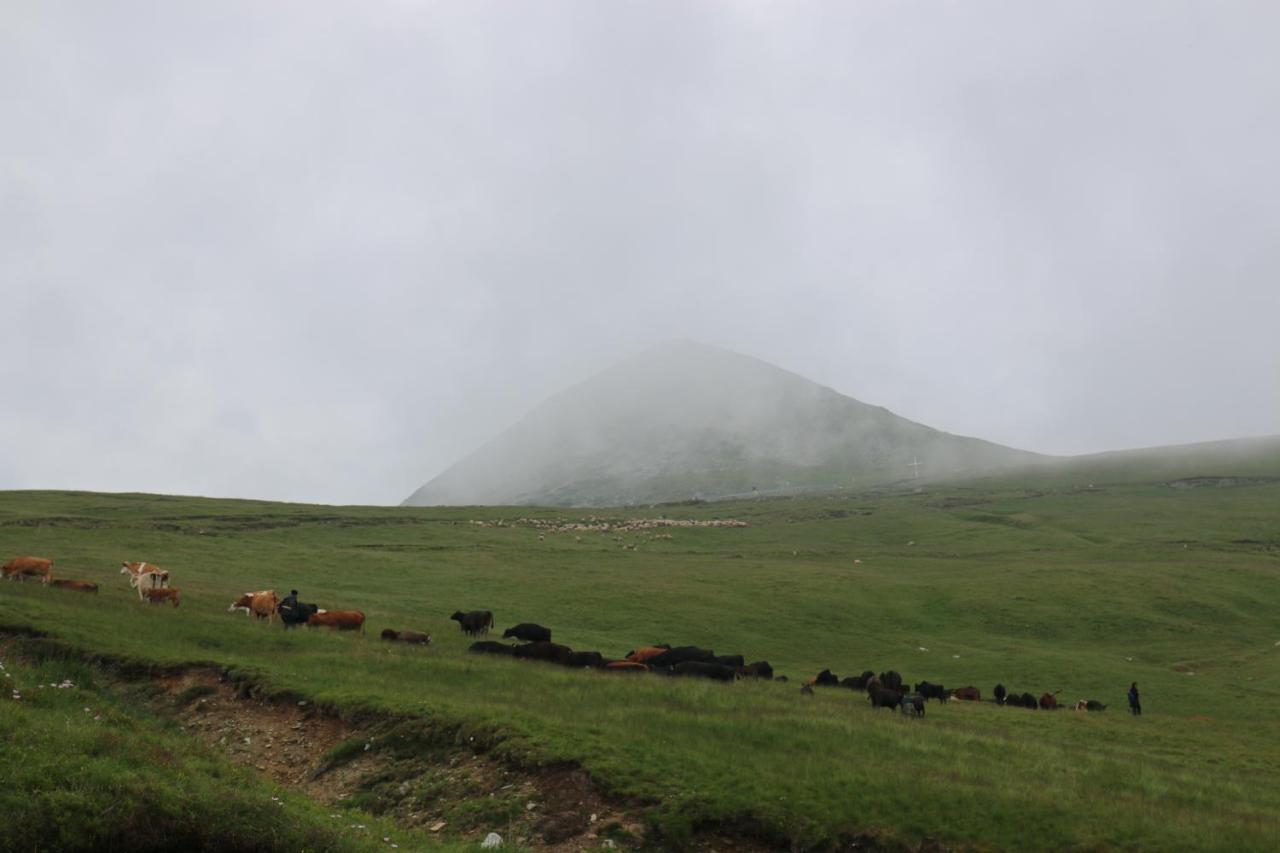 Cabana Transalpina Ранца Екстер'єр фото